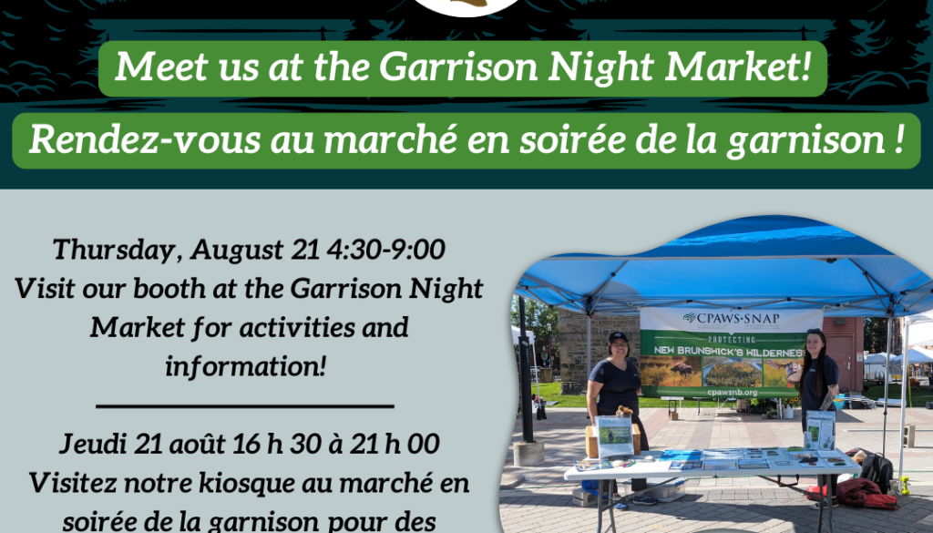 Marché de nuit Garrison